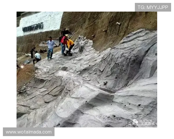 武汉滑板队的节奏打法解析与战术创新全景探讨