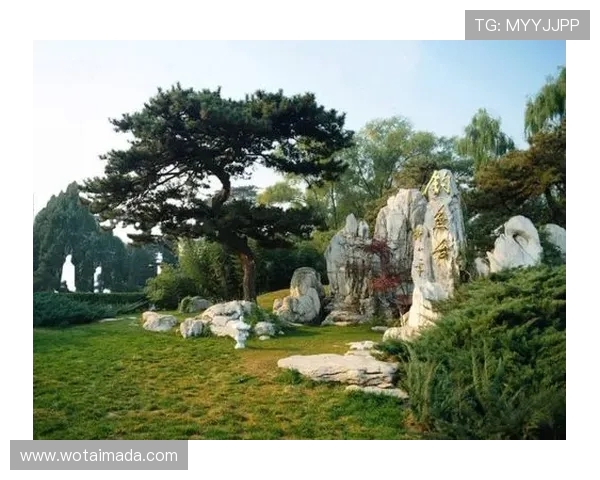 杭州乒乓球队的辉煌征程与突破时刻全景回顾